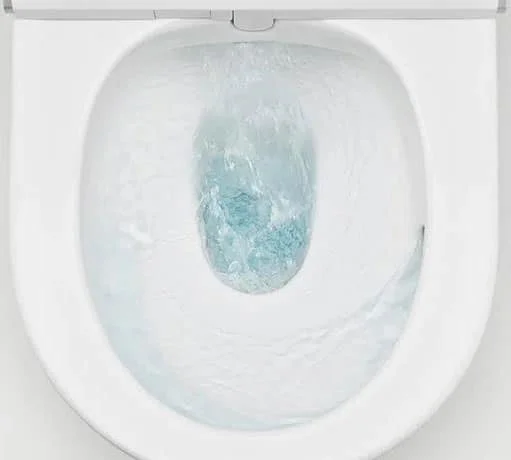 roca in wash in tank douchetoilet auto flush