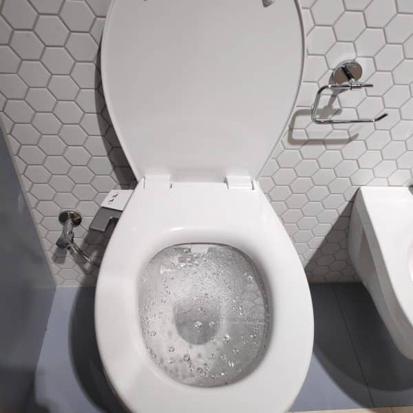 GROHE BAU Ceramic bidet opzetbril