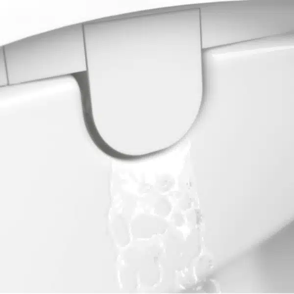 Inwash Inspira Roca zelfreinigende sproeier