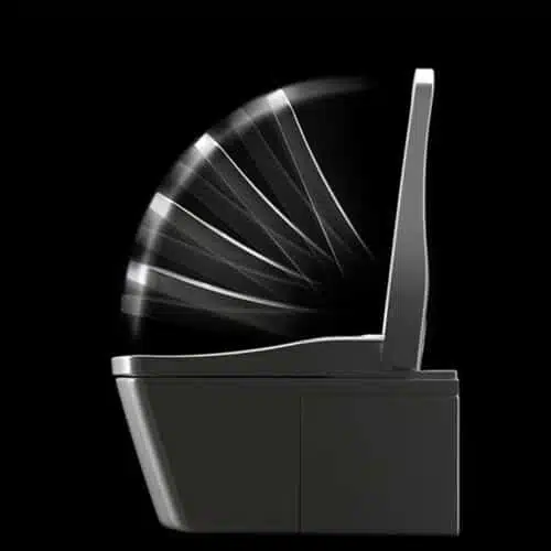 TOTO Neorest TCF994WGNW1 CW994PNW1