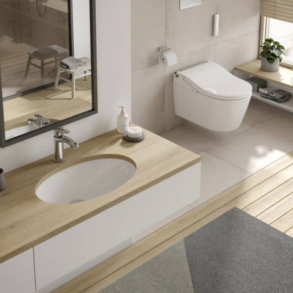 toto rw washlet wc douche 1