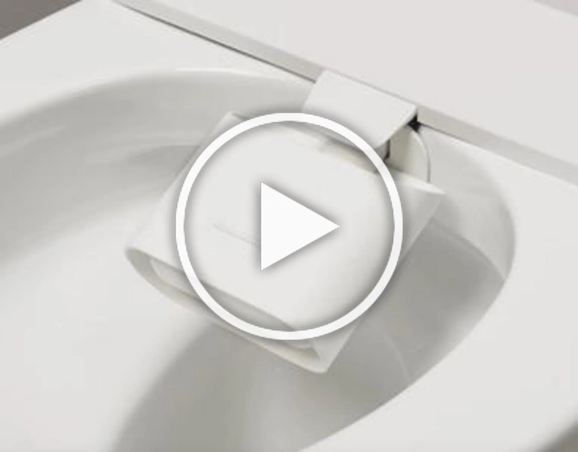 Ontkalken roca insignia