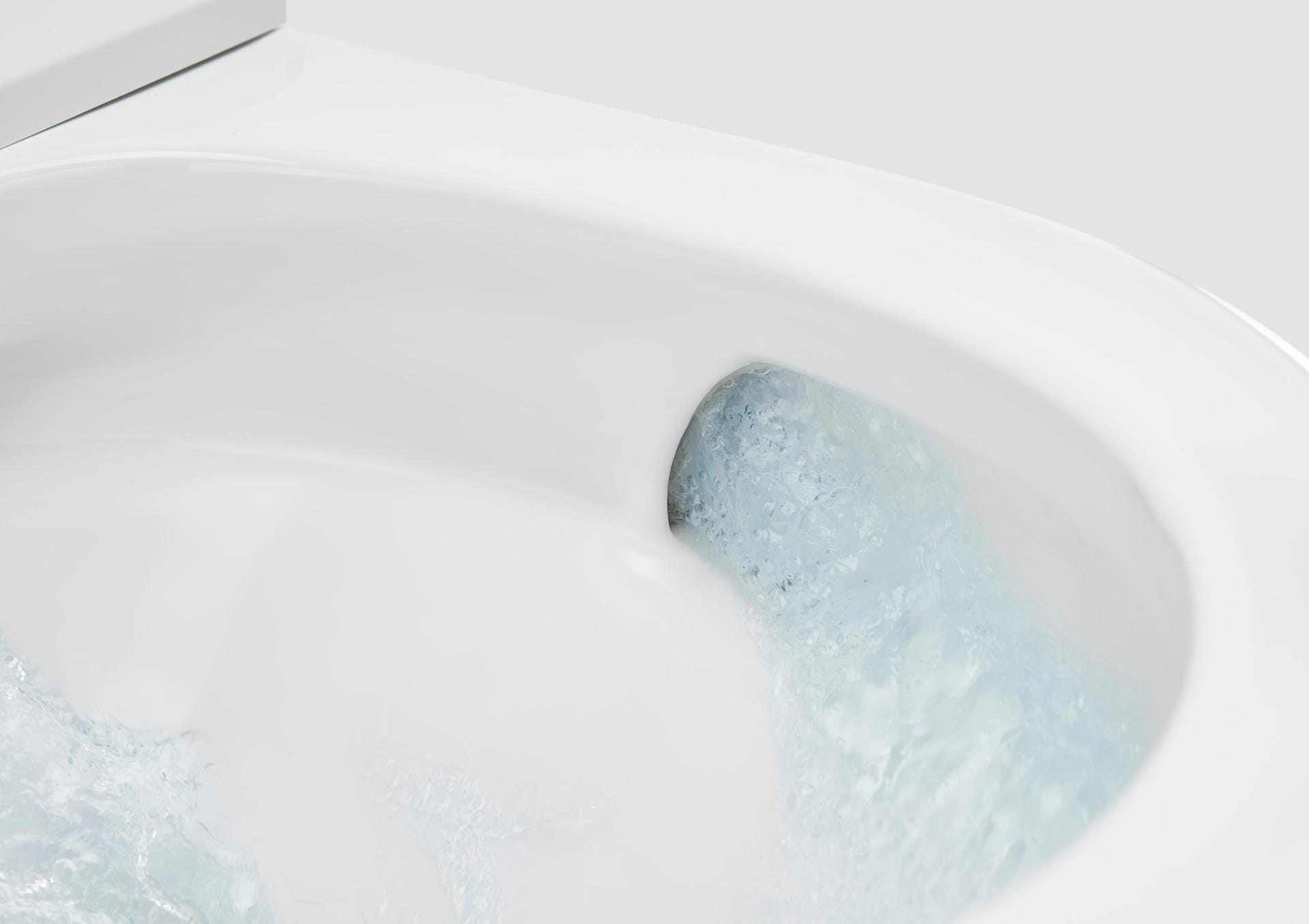 Roca rimless vortex flush
