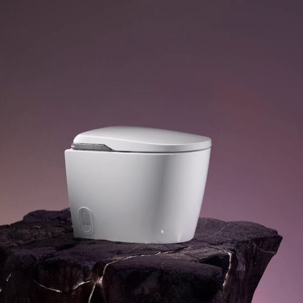 Roca in wash in tank insignia vloerstaand sfeer