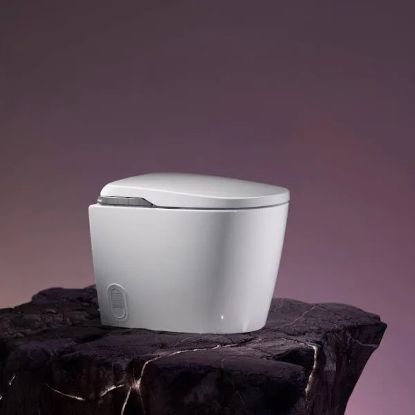 Roca in wash in tank insignia vloerstaand sfeer