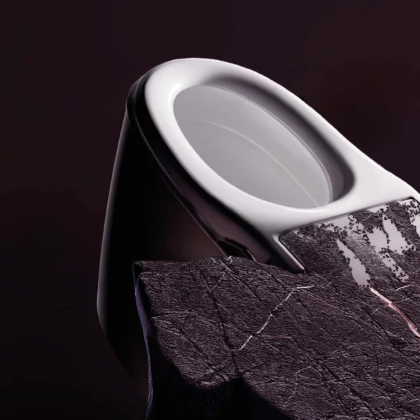 Slimme WC Roca insignia