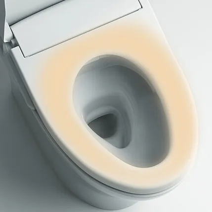 TOTO washlet RW verwamrde wc bril