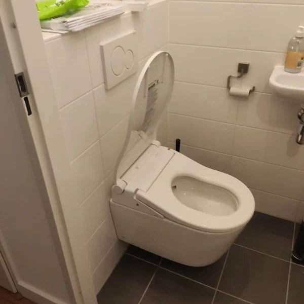 TOTO RW BESTE JAPANS TOILET 2026